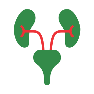 Urologist