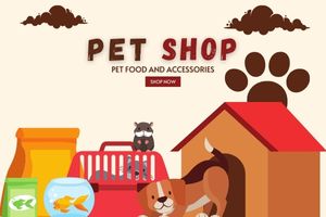 Pet Shop | Ordonna Guide Pet Shop