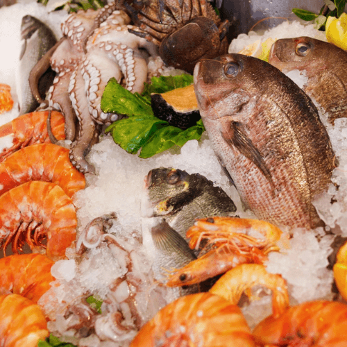 Seafood Restaurants in Jordan