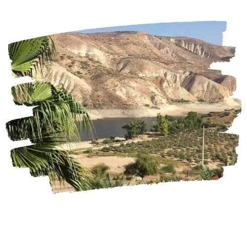 Irbid