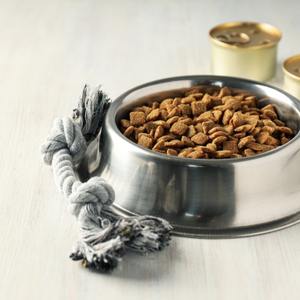 Pet Supplies | Ordonna Guide Pet Supplies