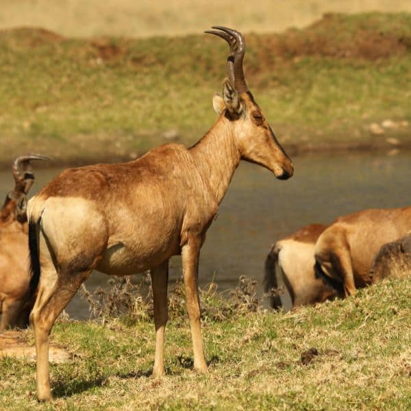 13 | Ordonna Guide Natural Reserves