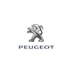 المستشار قطع غيار السيارات غيار السيارات بيجو وستروين