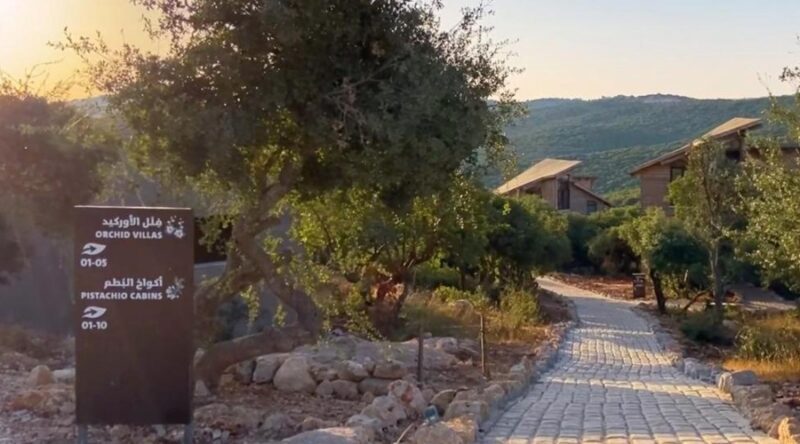 Ajloun Forest Reserve