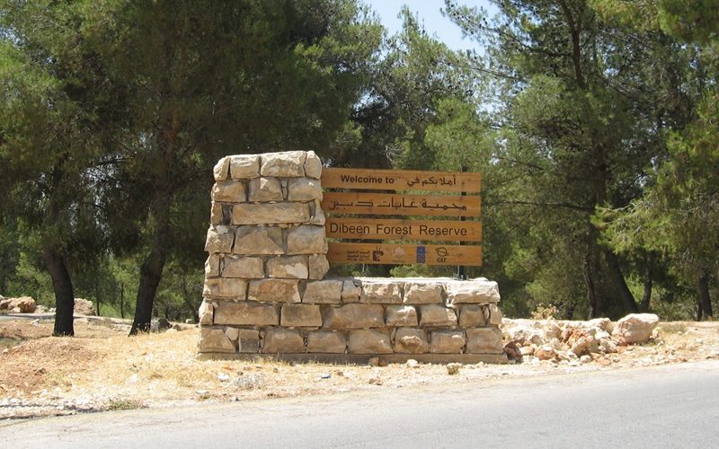 محمية غابة ديبين