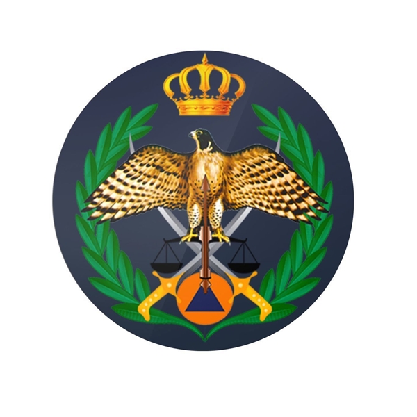 Public Security Logo