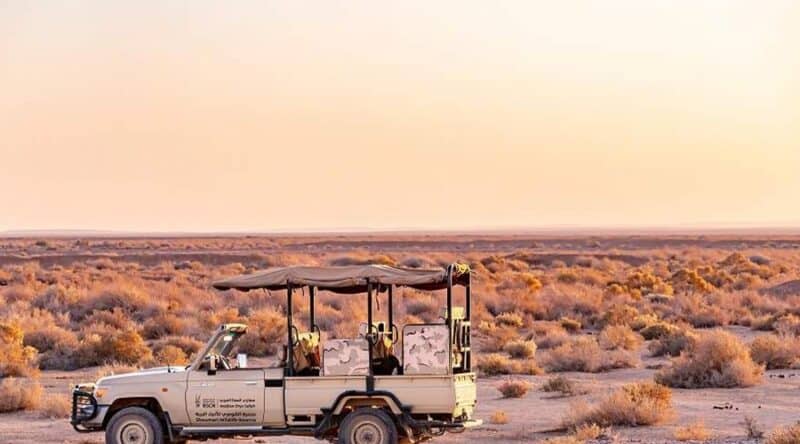 محمية شوماري للحياة البرية