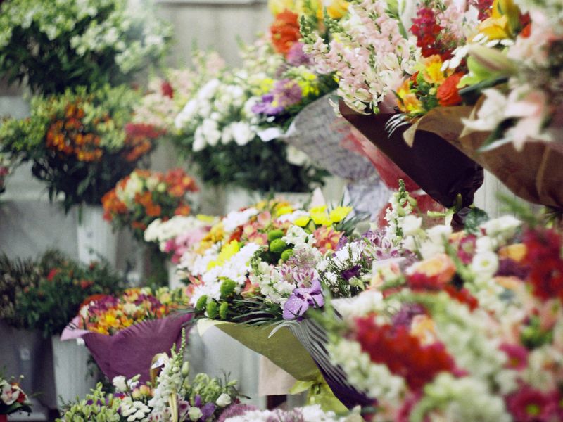 Flower Shops | Ordonna Guide