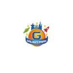 Galaxy Park Taj Mall
