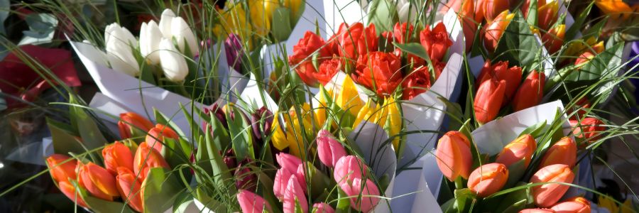 Flower Shops