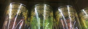 Glassware Stores