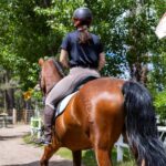 (HVN) Horse Stables