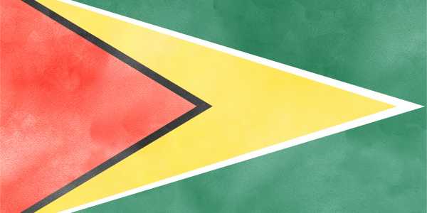 Guyana Flag