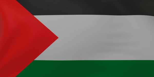 Palestine Flag
