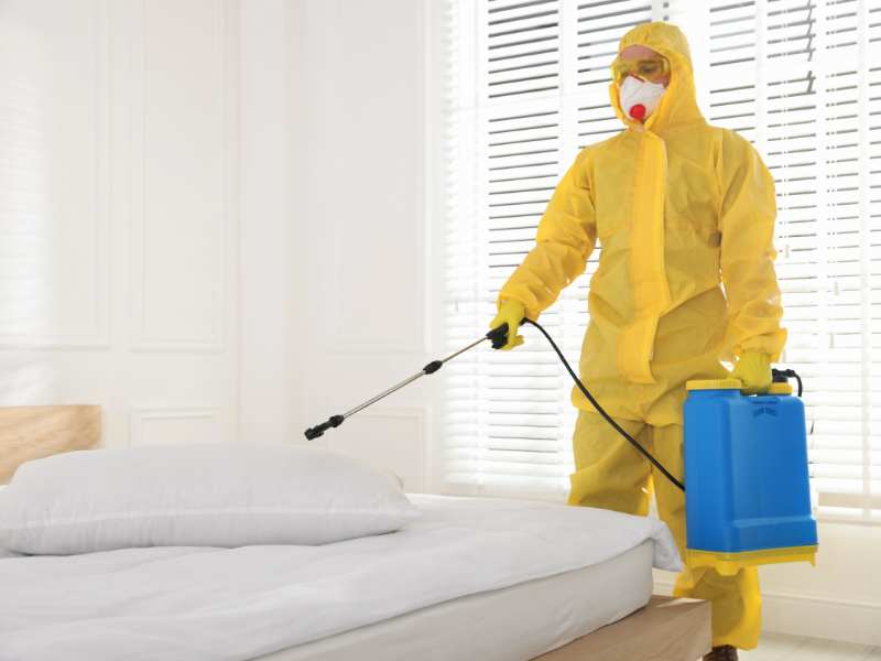 Pest Control Services