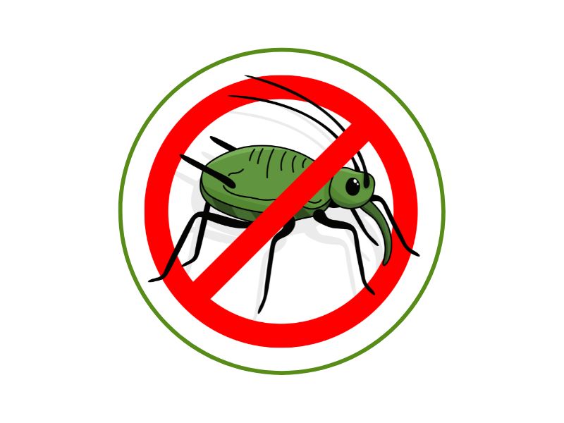 Pest Control Services