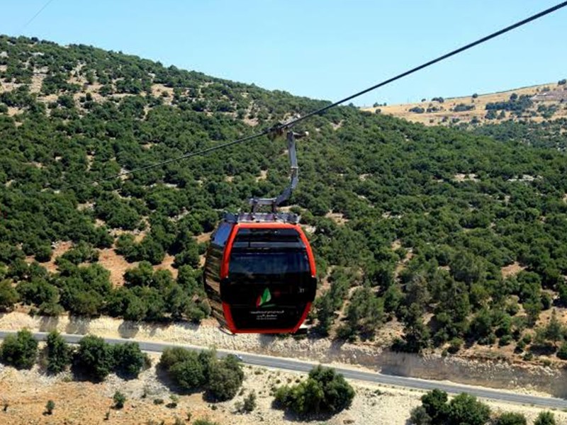 Red and black cable car gondola suspended on a line over a tree-covered hillside with a road below.