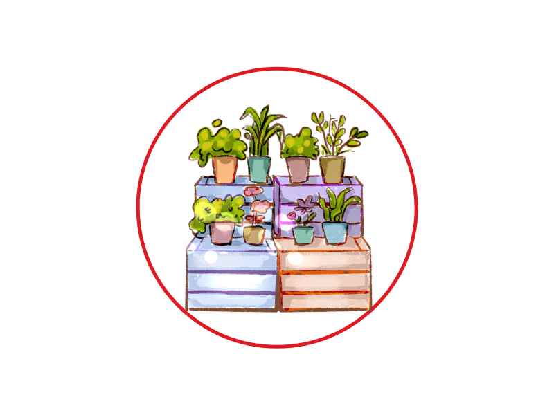 Plants in pots arranged on stacked crates inside a red circular outline.