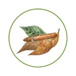 Al-Masiya International Tobacco Company