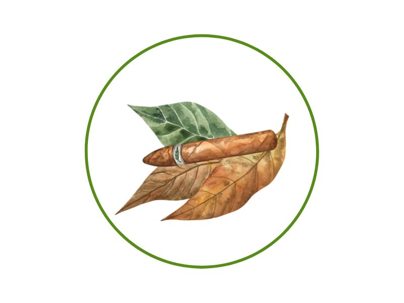 Cigar laid across green and brown leaves inside a green circular border (logo-style image)